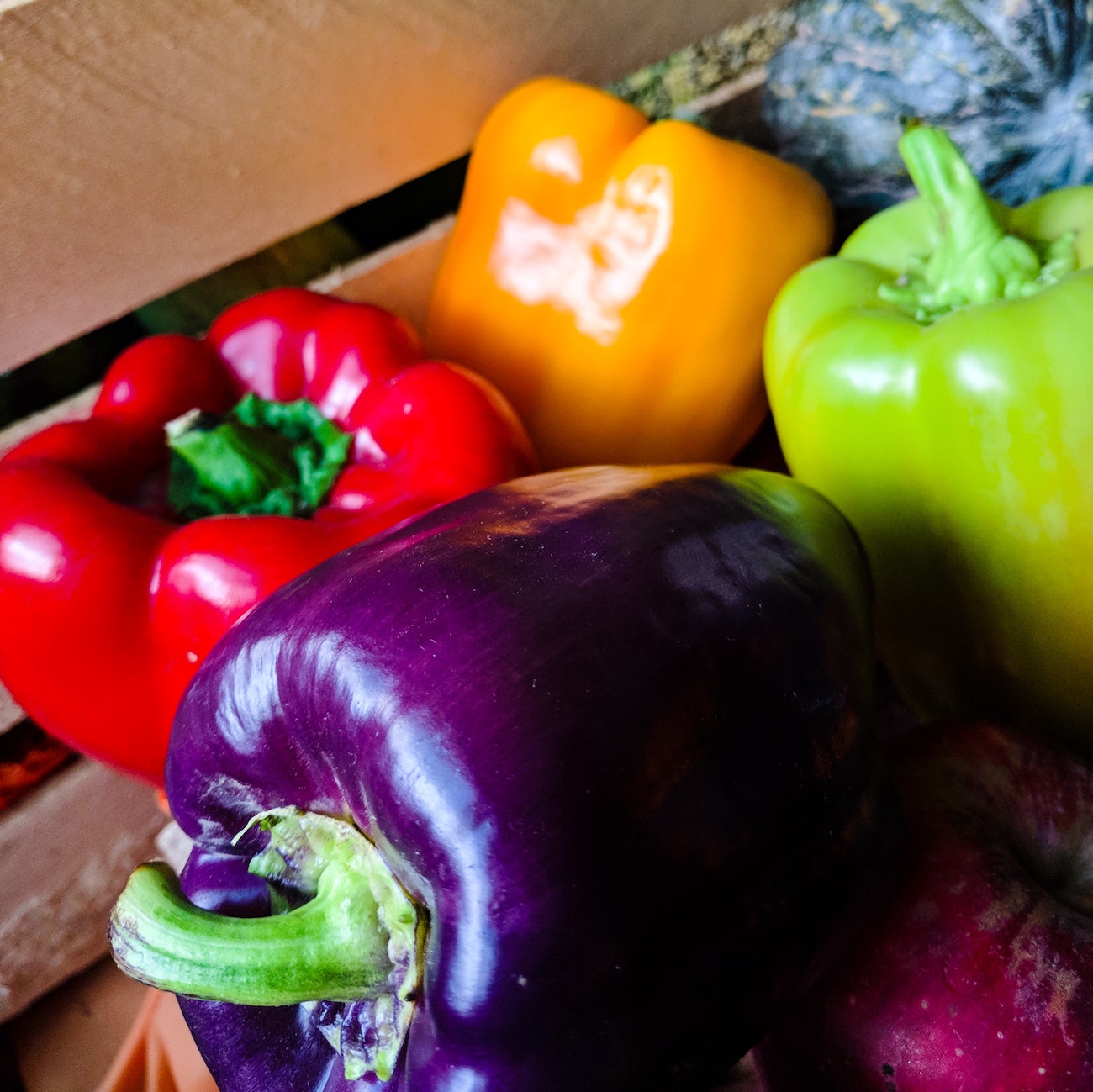 Plant based diet featuring a purple bell pepper, red bell pepper, orange bell pepper, and green bell pepper.